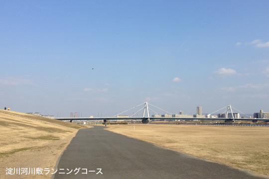 run110toyosato