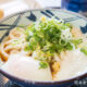とろ玉うどん